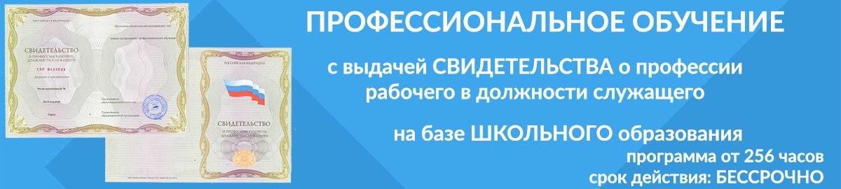 профессиональное обучение свидетельство
